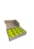 GRYPHON Box of Match Dimple Ball